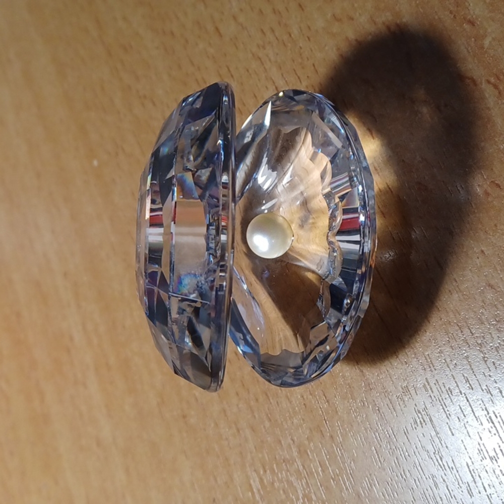 Stunning Crystal Clam Shell